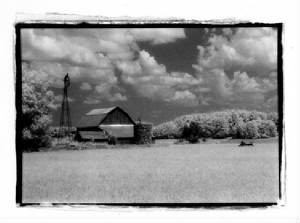 windmillfarm1.jpg