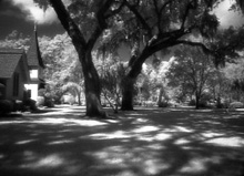 christchurch2sml.jpg