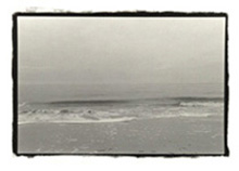 shoreline2sm.jpg